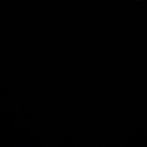 Meet your Posher, Davey